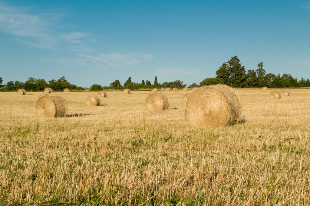 New Holland Baler BR780A
